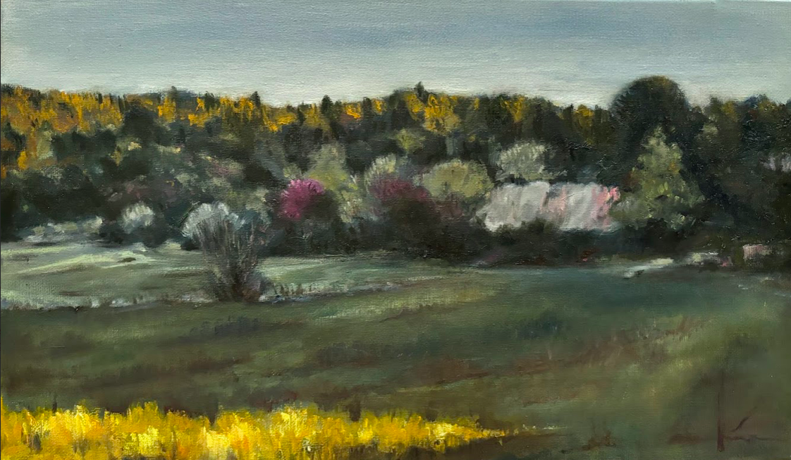 Campito sinarqueño 24x41 -Oleo- Campito sinarqueño 24x41 -Oleo-